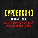 СУРОВИКИНСКИЕ ОБЪЯВЛЕНИЯ