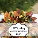 SKV -Gallery