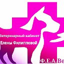 Ветеринарный кабинет Елены Филипповой