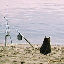 Рыбалка видео, приколы от Gachok.com.ua :)