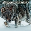 RUSSIAN TAXIDERMIST
