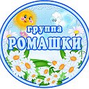 МБДОУ№7 "Ладушки" группа "Ромашка"