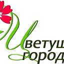 Любители комнатных цветов Киселевск Прокопьевск