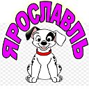 Продажа собак-кошек в Ярославле и Яросл. области