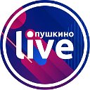 Пушкино Live