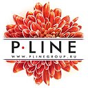 «PLineGroup»