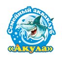 Бассейн "Акула" в Иваново. Семейный акваклуб