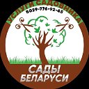 Сады Беларуси
