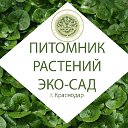 Растения питомника  ЭКО-САД г. Краснодар (Группа)