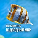 Выставка рыб Подводный Мир г. Чебоксары