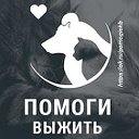 "Помоги выжить" (Екатеринбург)