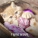 Купить шерсть для валяния I LOVE WOOL