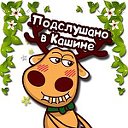 подслушано в Кашине