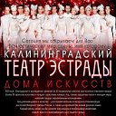 Театр Эстрады Дома искусств г.Калининград