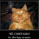 приколы =)))))))))))))))))))))))))))