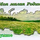 Разумное