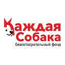 Фонд помощи «Каждая Собака» - Приют Зорге