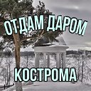 Отдам Даром Кострома