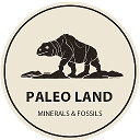 Минералы - Окаменелости - Украшения PaleoLand