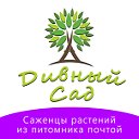 Питомник «Дивный сад» - саженцы растений почтой