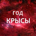 Факты о родившихся в год Крысы