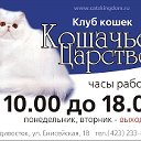 КЛК "КОШАЧЬЕ ЦАРСТВО" Владивосток