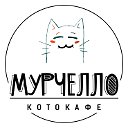 КОТОКАФЕ МУРЧЕЛЛО Муром