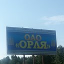 ОАО "ОРЛЯ"