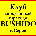 "BUSHIDO" г.Серов (Киокушинкай карате)