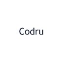 Codru, Moldova - Anunturi Lucru Chirie