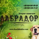 Корма для собак и кошек в Донецке