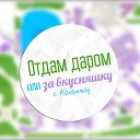 Отдам ДАРОМ за вкусняшку, ОБМЕН г. Кокшетау