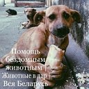 Животные в дар.Беларусь