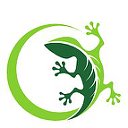 Gecko - интернет-магазин экологичных товаров