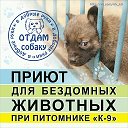 Приют для бездомных животных при питомнике К9