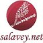 WEB-студия Salavey.net