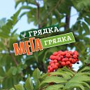 СЦ "Мегагрядка", Сеть магазинов «Грядка» (Брянск)