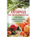 Секреты хорошего урожая.Заготовки.Сделай сам!