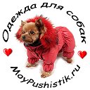 ❤️ 🐾 MoyPushistik.ru  💻 одежда для собак