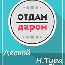 ОТДАМ ДАРОМ в Лесном и Нижней Туре