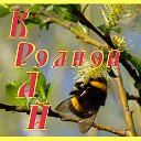 Природа РОДНОГО Края