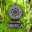 NATURA SIBERICA ЛНР,ДНР