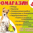 Зоомагазин ЗооЛайн