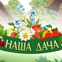 ❤ наша дача ❤урожай❤ опыт огородников❤