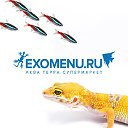 EXOMENU.RU - аквариумистика и террариумистика