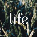 Life - Познавательный журнал