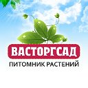 Купить саженцы Васторгсад