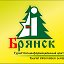 Туристско-информационный центр Брянской области