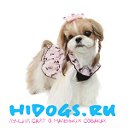 Маленькие собаки Hidogs.ru