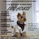 Зоосалон Dog House